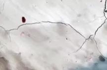 首页| PP电子游戏中国区官方网站