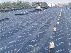 首页| PP电子游戏中国区官方网站