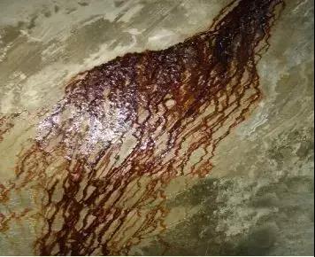 首页| PP电子游戏中国区官方网站