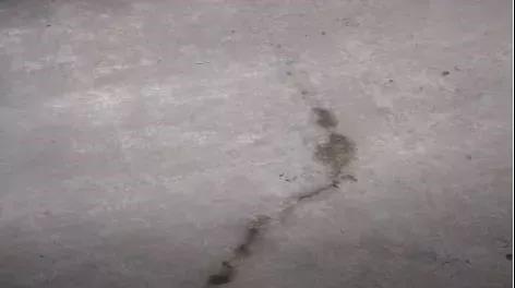 首页| PP电子游戏中国区官方网站