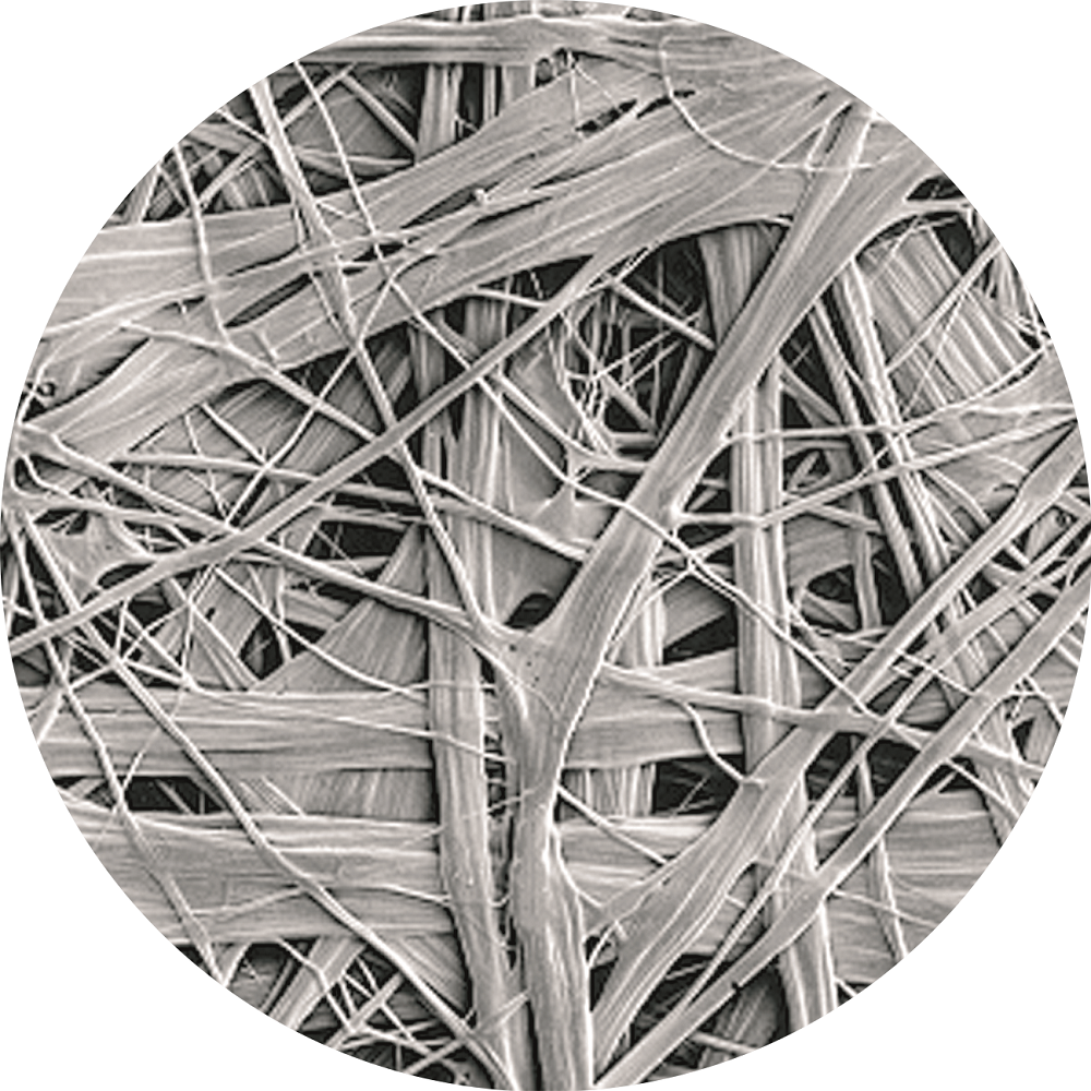 首页| PP电子游戏中国区官方网站