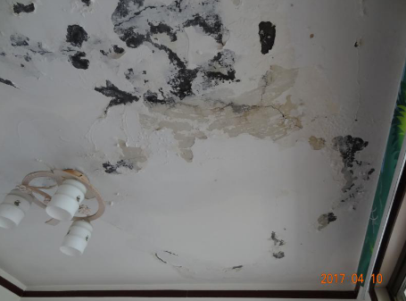 首页| PP电子游戏中国区官方网站