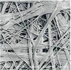 首页| PP电子游戏中国区官方网站