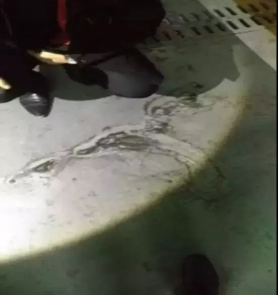 首页| PP电子游戏中国区官方网站