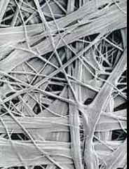 首页| PP电子游戏中国区官方网站