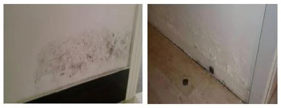 首页| PP电子游戏中国区官方网站