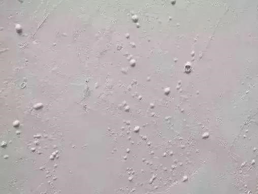 首页| PP电子游戏中国区官方网站