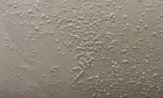 首页| PP电子游戏中国区官方网站