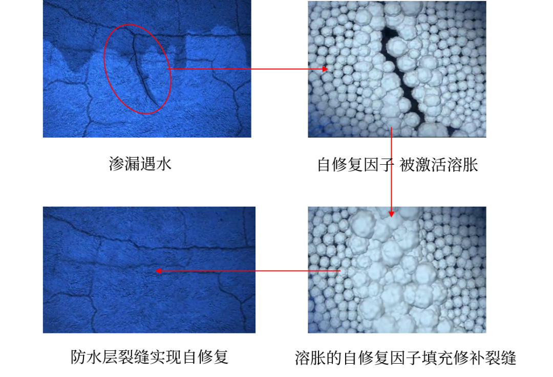 首页| PP电子游戏中国区官方网站