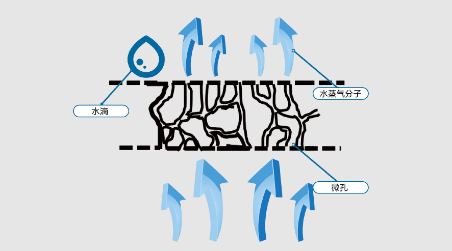 首页| PP电子游戏中国区官方网站